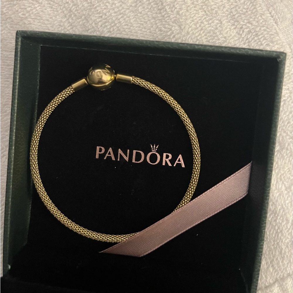 Pandora Gold Mesh Bangle